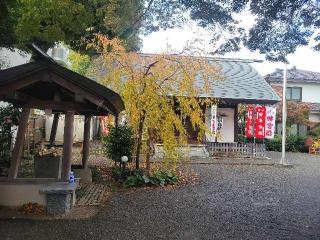 母智丘神社の参拝記録(まっきーさん)