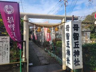母智丘神社の参拝記録(まっきーさん)