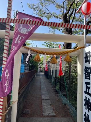 母智丘神社の参拝記録(⛩️🐍🐢まめ🐢🐍⛩️さん)