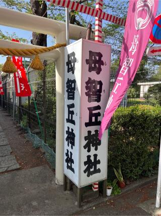 母智丘神社の参拝記録(⛩️🐍🐢まめ🐢🐍⛩️さん)