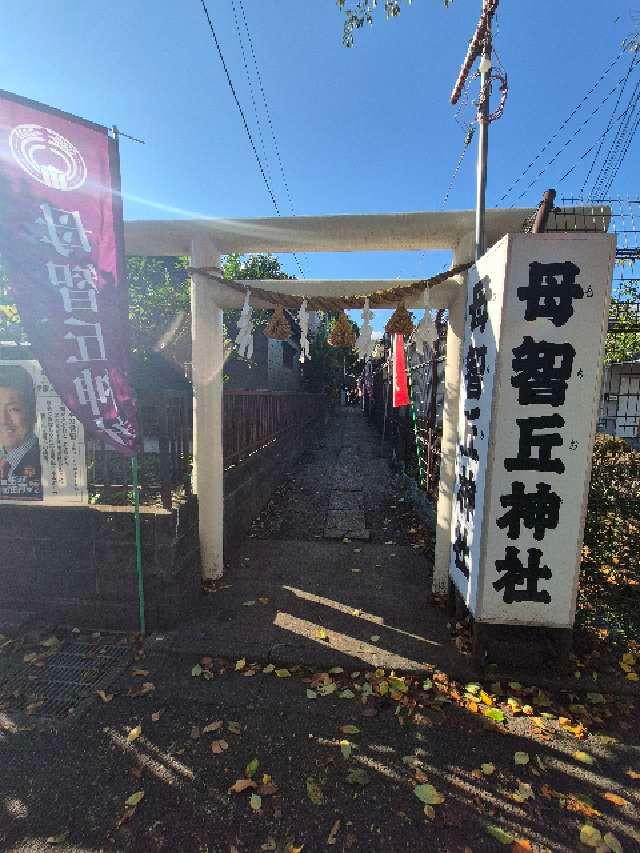 母智丘神社の参拝記録10