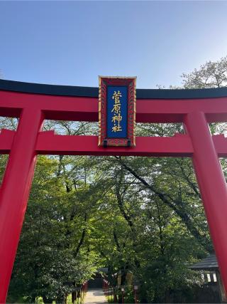 菅原神社の参拝記録(⛩️🐉🐢まめ🐢🐉⛩️さん)