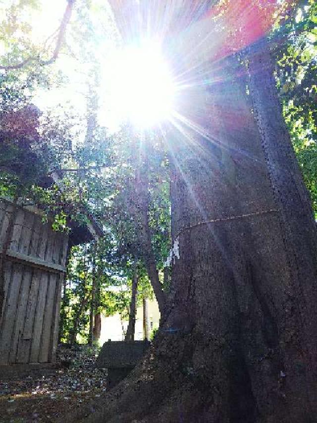 東京都町田市大蔵町2822 大蔵 春日神社の写真25