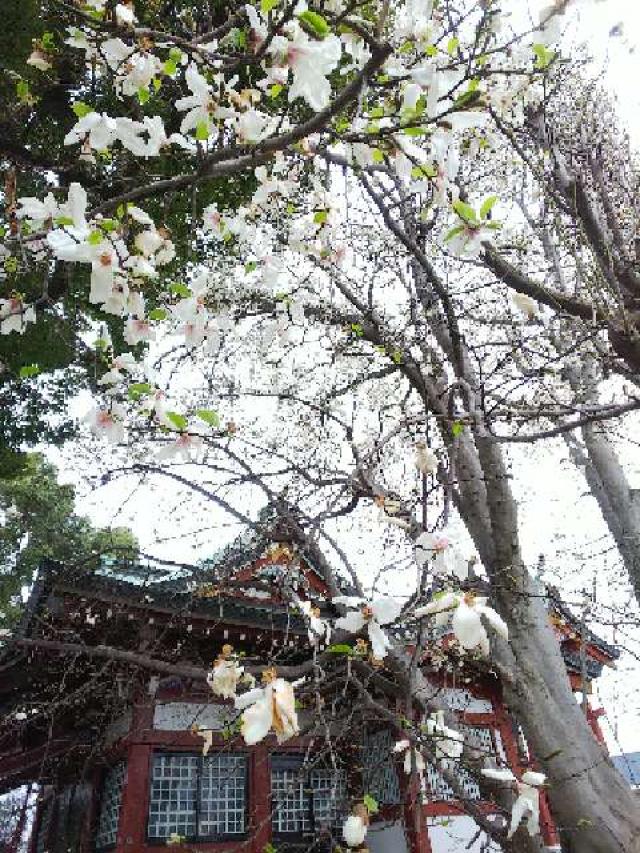東京都町田市南町田4-18-2 鶴間熊野神社の写真26