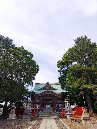 鶴間熊野神社の参拝記録(またたびさん)