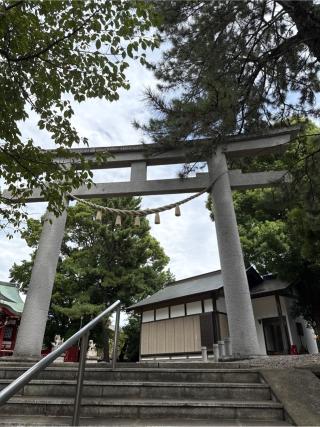 鶴間熊野神社の参拝記録(⛩️🐍🐢まめ🐢🐍⛩️さん)