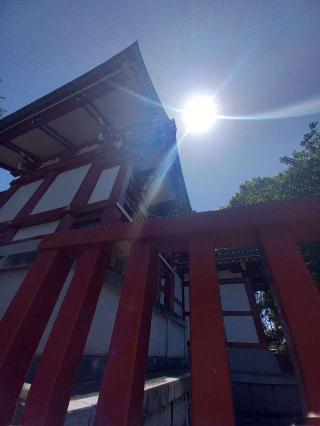 鶴間熊野神社の参拝記録(やおかみさん)