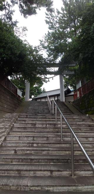 鶴間熊野神社の参拝記録(ほんしんさん)