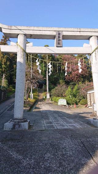 関戸熊野神社の参拝記録(りゅうじさん)