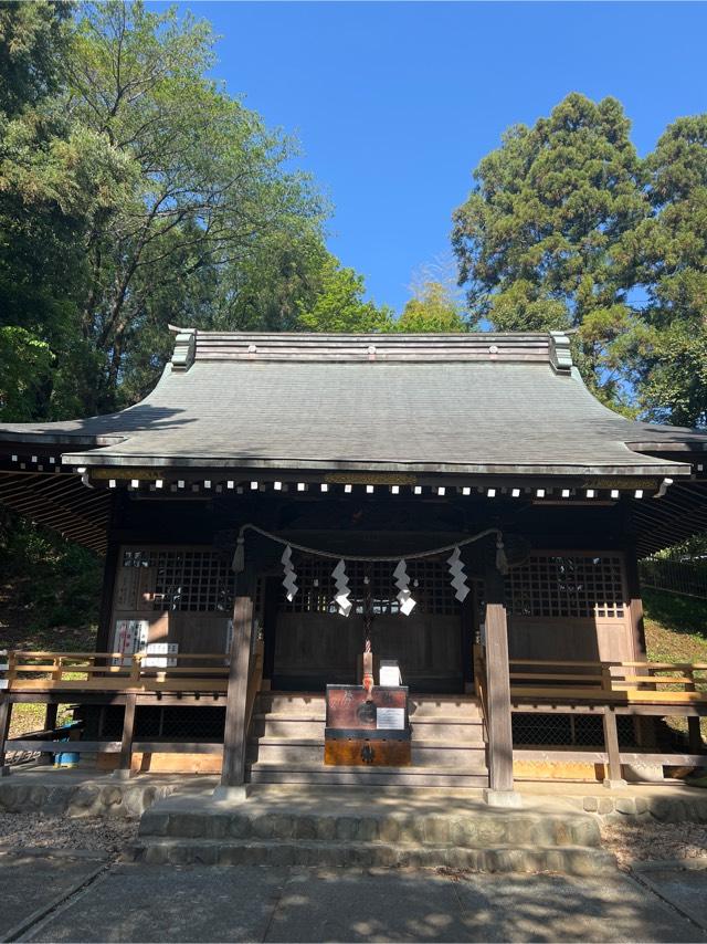 関戸熊野神社の参拝記録(⛩️🐉🐢まめ🐢🐉⛩️さん)