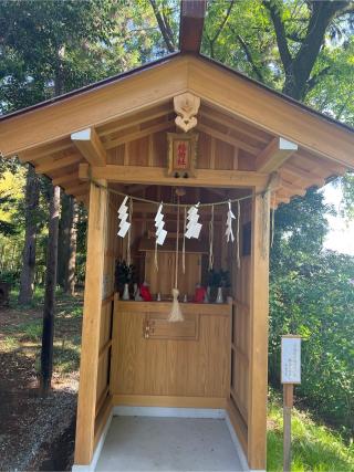 関戸熊野神社の参拝記録(⛩️🐉🐢まめ🐢🐉⛩️さん)