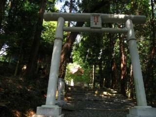 住吉神社琴平神社合社（宮尾神社）の参拝記録(しばっさん)
