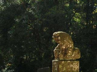 住吉神社琴平神社合社（宮尾神社）の参拝記録(しばっさん)