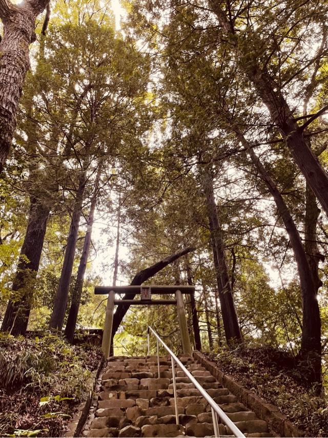 住吉神社琴平神社合社（宮尾神社）の参拝記録3