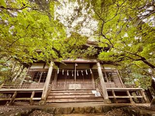 住吉神社琴平神社合社（宮尾神社）の参拝記録(tsuさん)