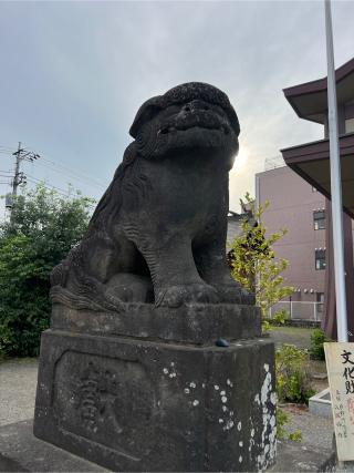 八坂神社（日野八坂神社）の参拝記録(⛩️🐍🐢まめ🐢🐍⛩️さん)