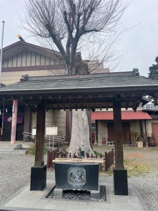 八坂神社（日野八坂神社）の参拝記録(⛩️🐍🐢まめ🐢🐍⛩️さん)