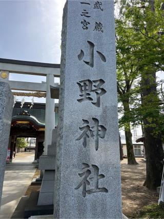 武蔵國一之宮 小野神社（本殿）の参拝記録(⛩️🐍🐢まめ🐢🐍⛩️さん)