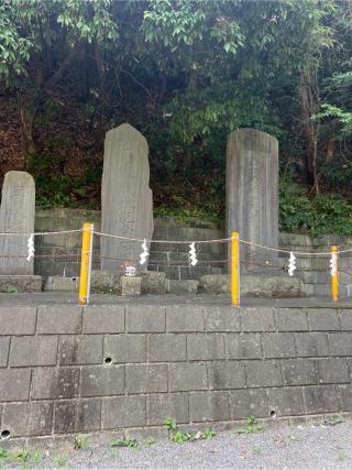 穴澤天神社の参拝記録(⛩️🐍🐢まめ🐢🐍⛩️さん)