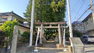 青渭神社の参拝記録(miyumikoさん)