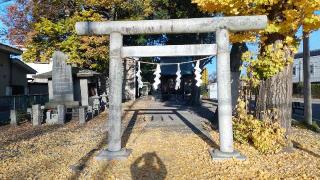 八幡神社の参拝記録(まっちゃんさん)