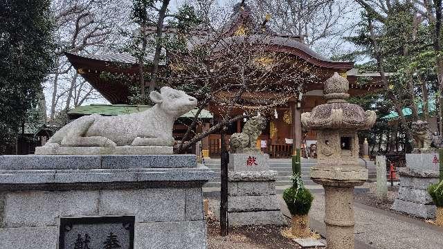 小金井神社(天満宮)の参拝記録8
