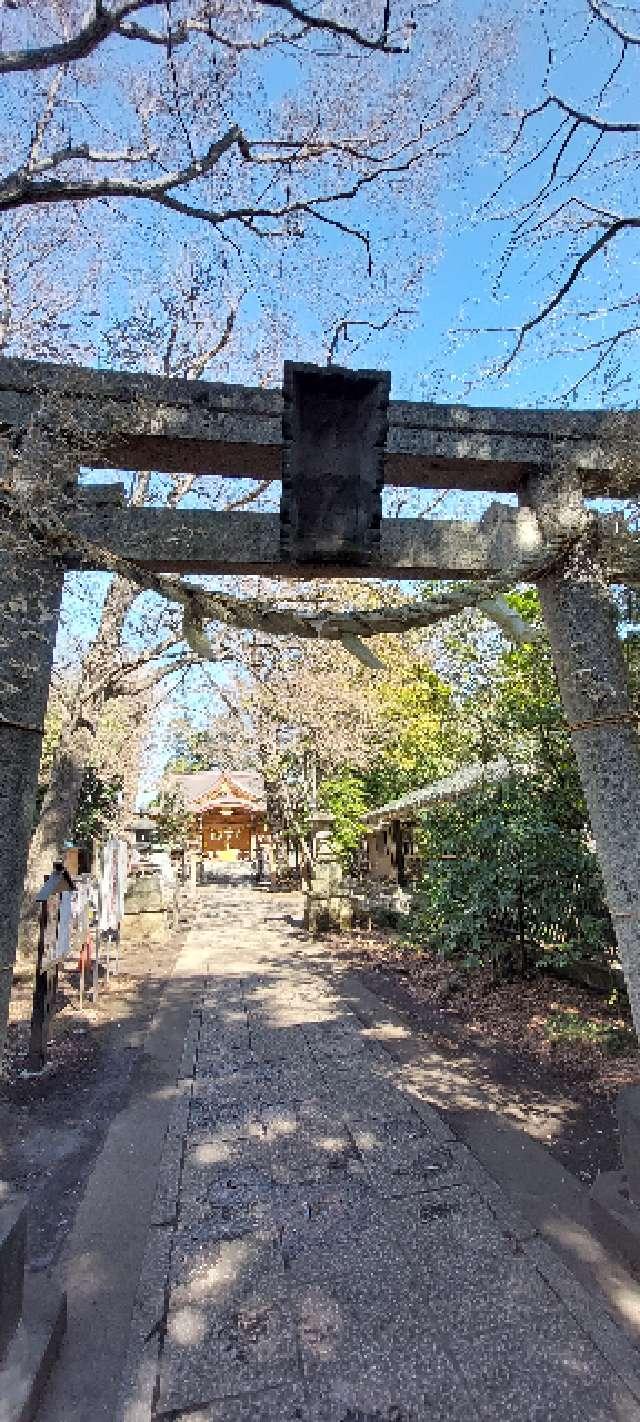 小金井神社（天満宮）の参拝記録(まーぼーさん)