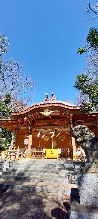 小金井神社（天満宮）の参拝記録(まーぼーさん)