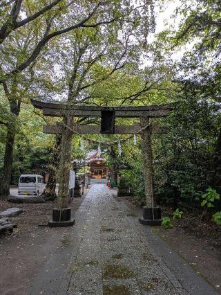 小金井神社（天満宮）の参拝記録(はくすみさん)