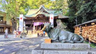 谷保天満宮の参拝記録(オトギリルさん)