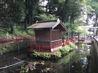 谷保天満宮の参拝記録(ともりんさん)