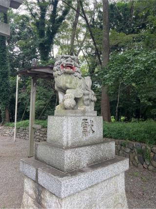 谷保天満宮の参拝記録(⛩️🐍🐢まめ🐢🐍⛩️さん)