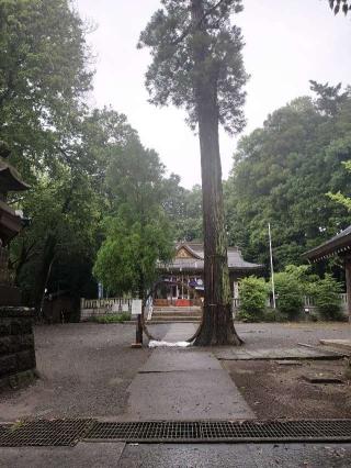 豊鹿嶋神社（かしまさま）の参拝記録(さとみさん)