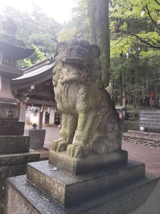豊鹿嶋神社（かしまさま）の参拝記録(さとみさん)