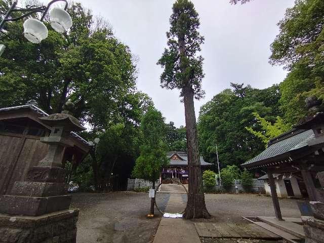 豊鹿嶋神社（かしまさま）の参拝記録7