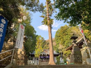 豊鹿嶋神社（かしまさま）の参拝記録(shikigami_hさん)