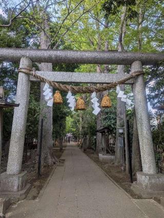 小平神明宮の参拝記録(はくすみさん)