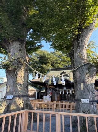 一本榎熊野宮の参拝記録(⛩️🐍🐢まめ🐢🐍⛩️さん)
