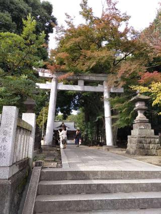 八坂神社（武蔵野牛頭天王）の参拝記録(しもさん)
