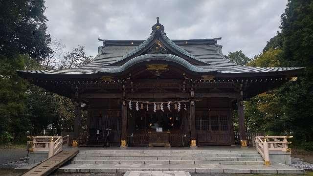 八坂神社（武蔵野牛頭天王）の参拝記録8