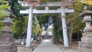 八坂神社（武蔵野牛頭天王）の参拝記録(まっちゃんさん)