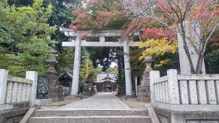 八坂神社（武蔵野牛頭天王）の参拝記録(まっちゃんさん)