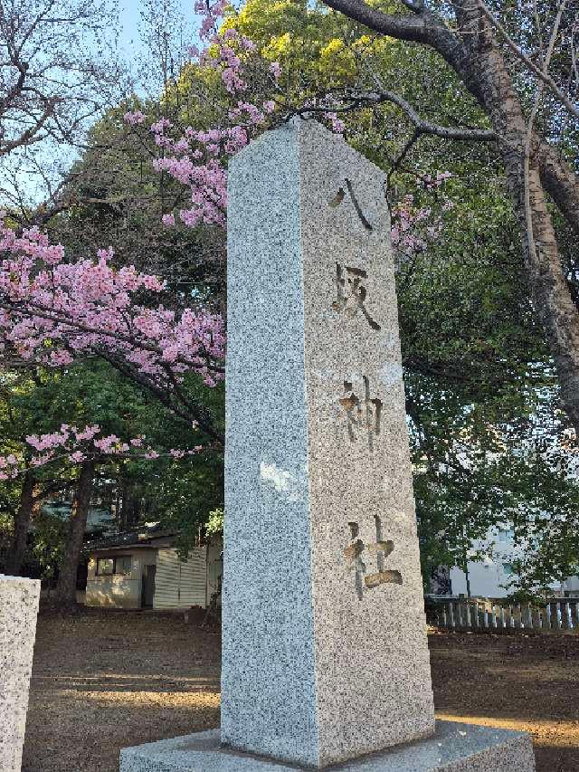 八坂神社（武蔵野牛頭天王）の参拝記録8