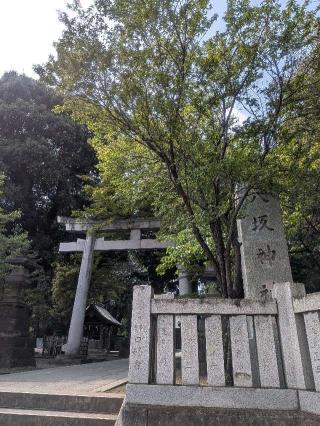 八坂神社（武蔵野牛頭天王）の参拝記録(はくすみさん)