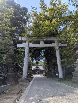 八坂神社（武蔵野牛頭天王）の参拝記録(はくすみさん)