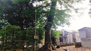 秋津氷川神社の参拝記録(miyumikoさん)