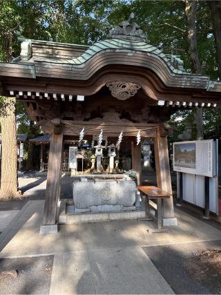日枝神社  水天宮の参拝記録(⛩️🐍🐢まめ🐢🐍⛩️さん)