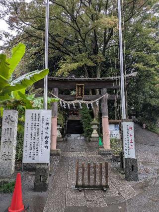 南沢氷川神社の参拝記録(はくすみさん)