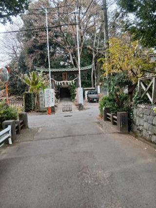 南沢氷川神社の参拝記録(けんけんさん)