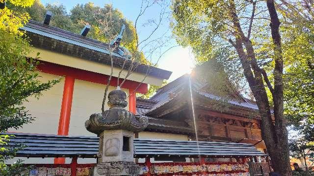 田無神社（尉殿大権現）の参拝記録